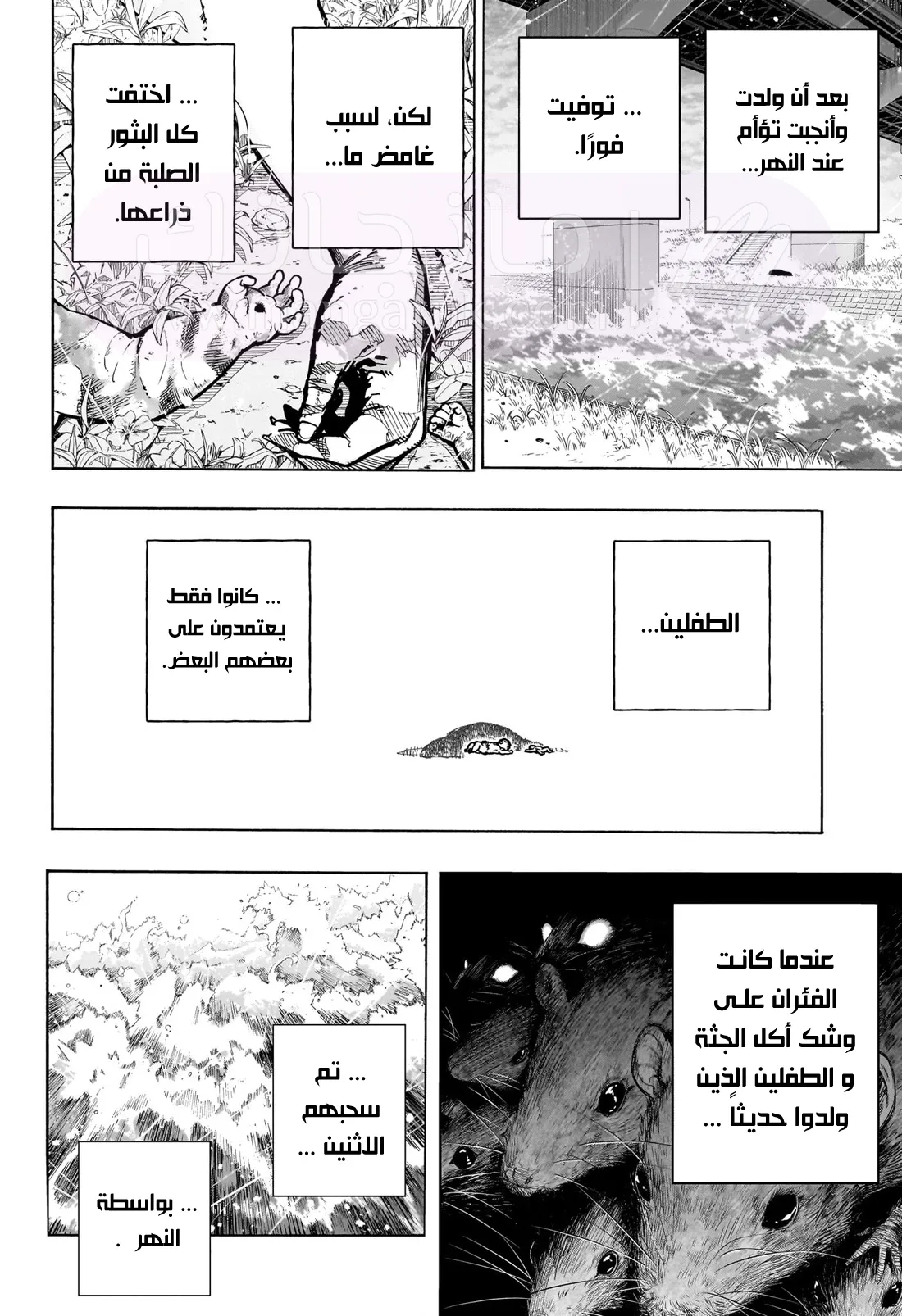 الصفحة 3