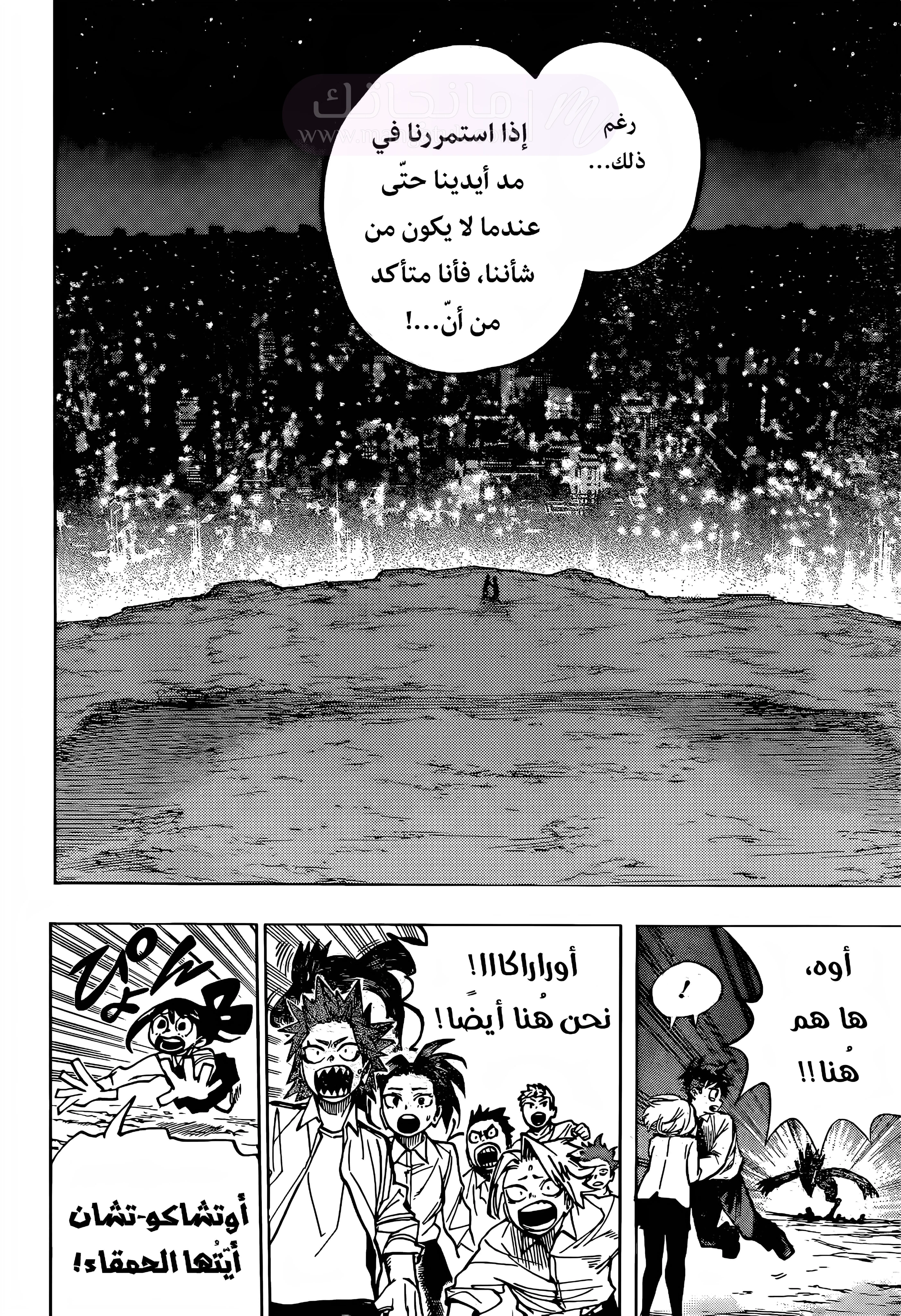 الصفحة 13