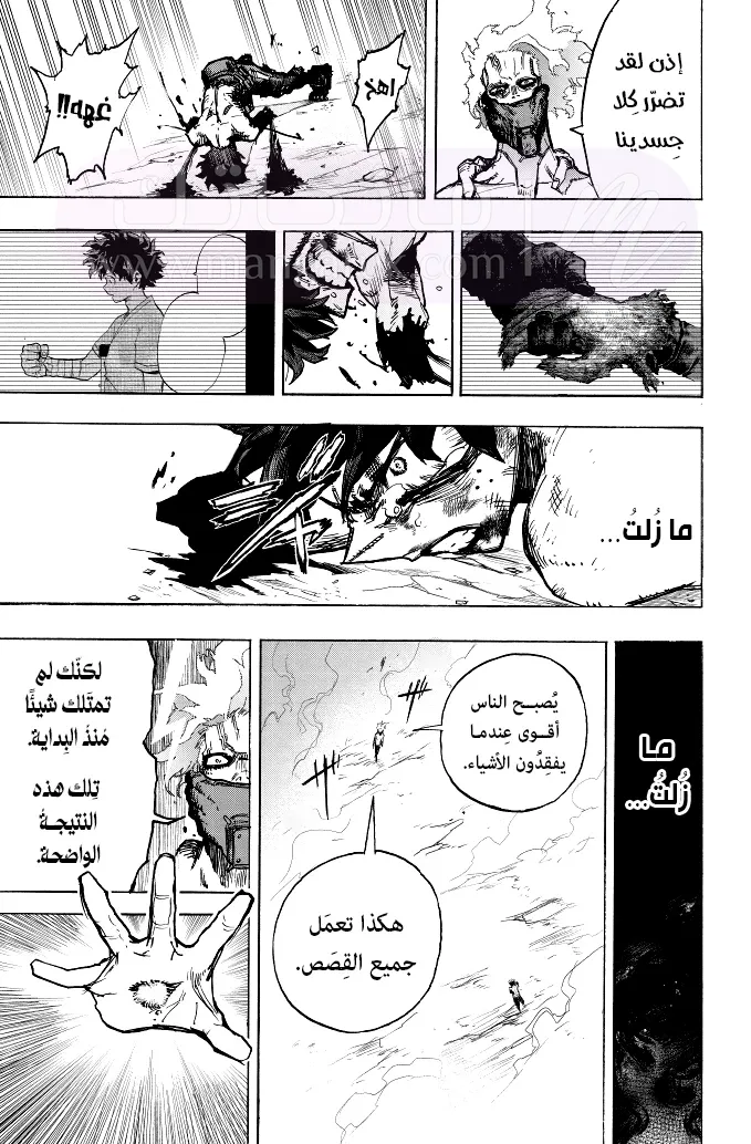 الصفحة 13