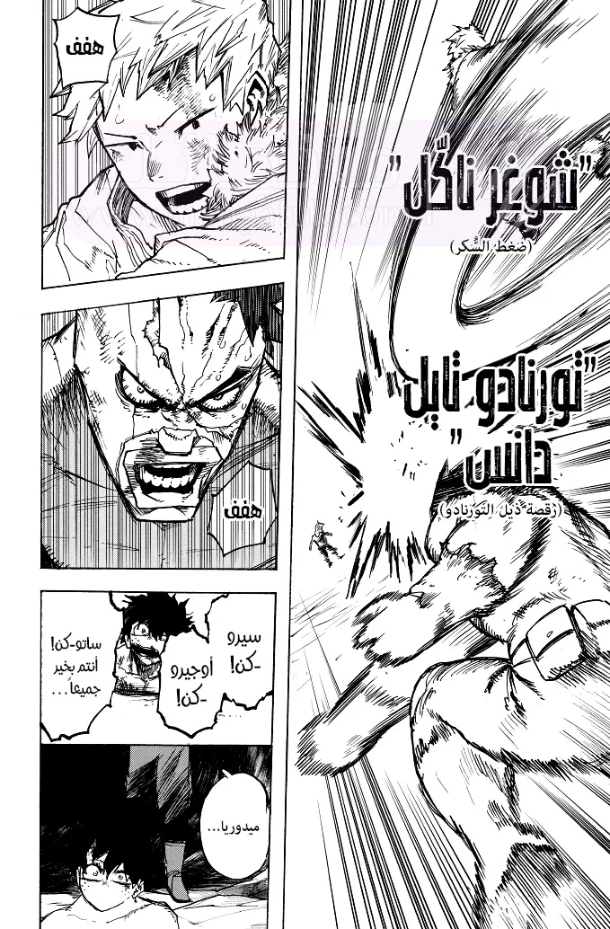 الصفحة 16