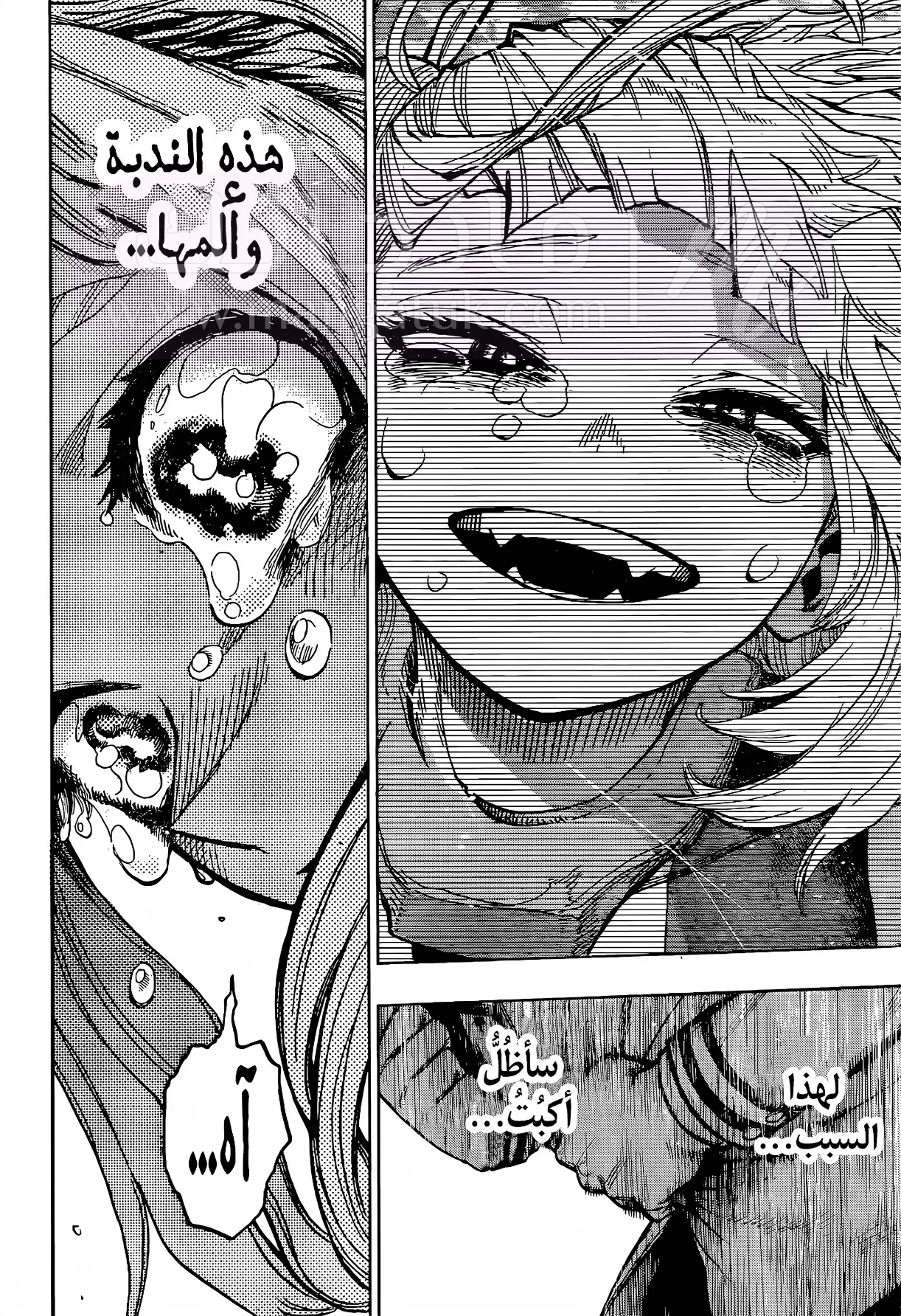 الصفحة 14