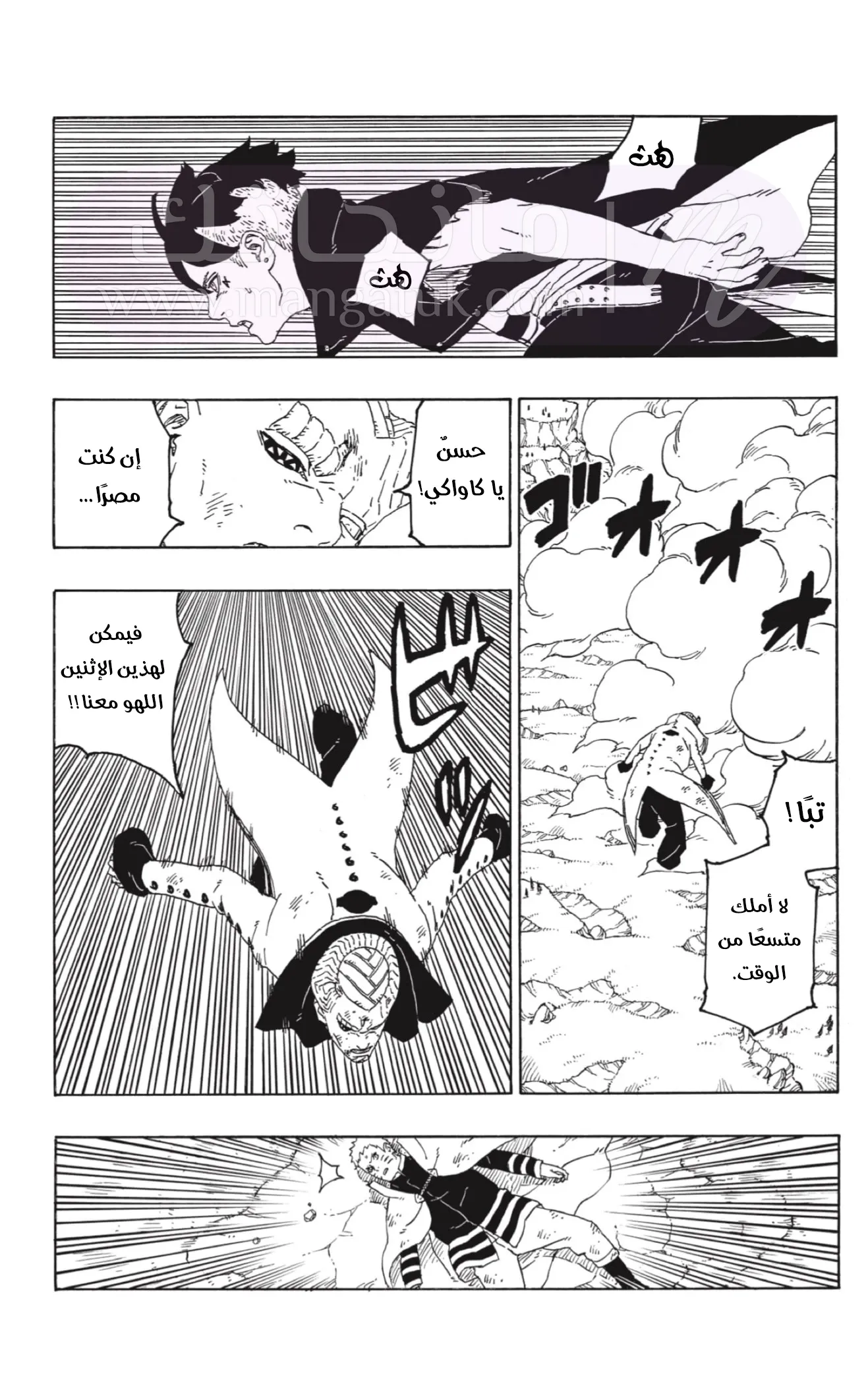 الصفحة 17