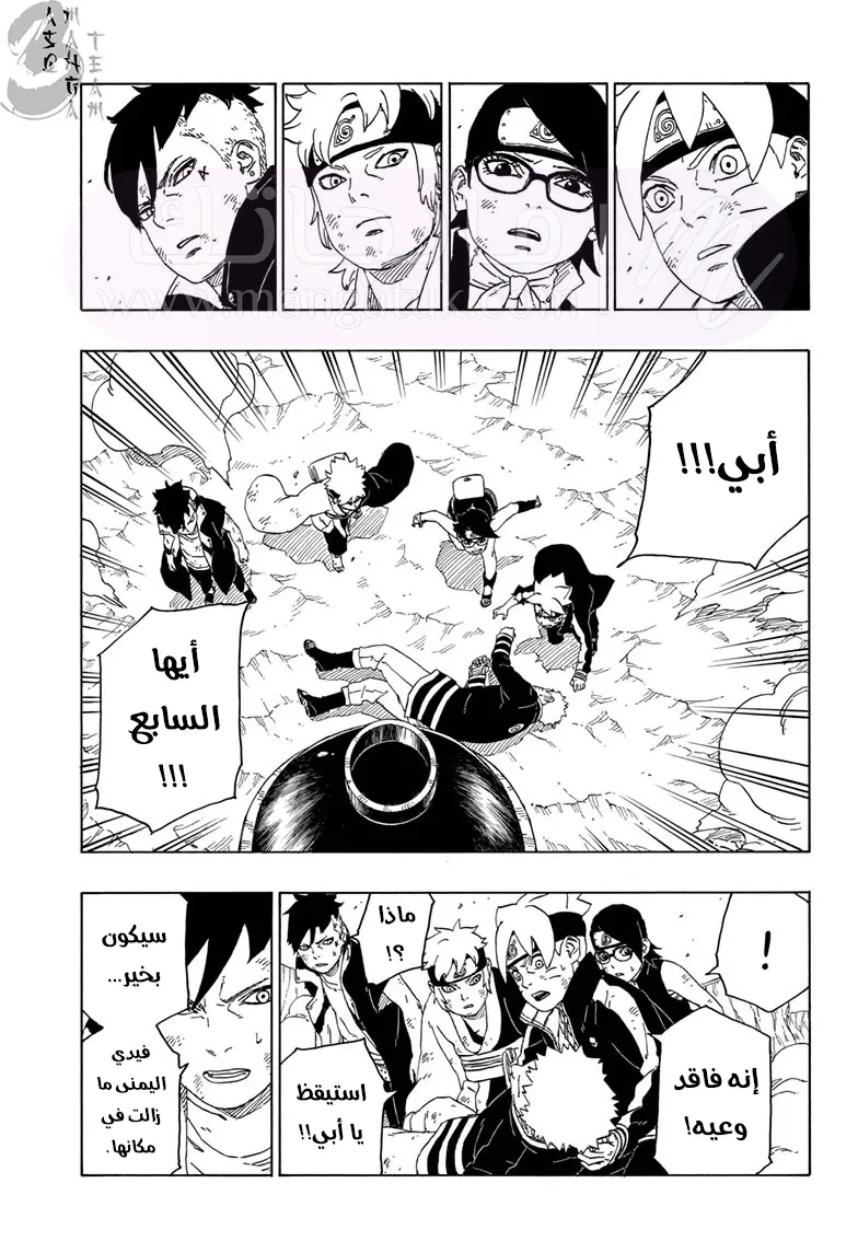 الصفحة 13