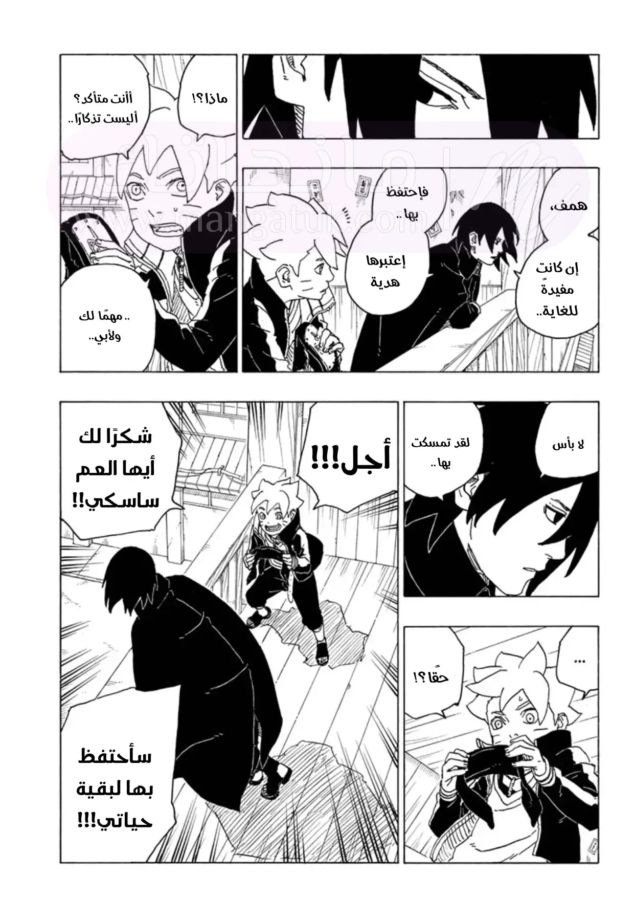 الصفحة 12