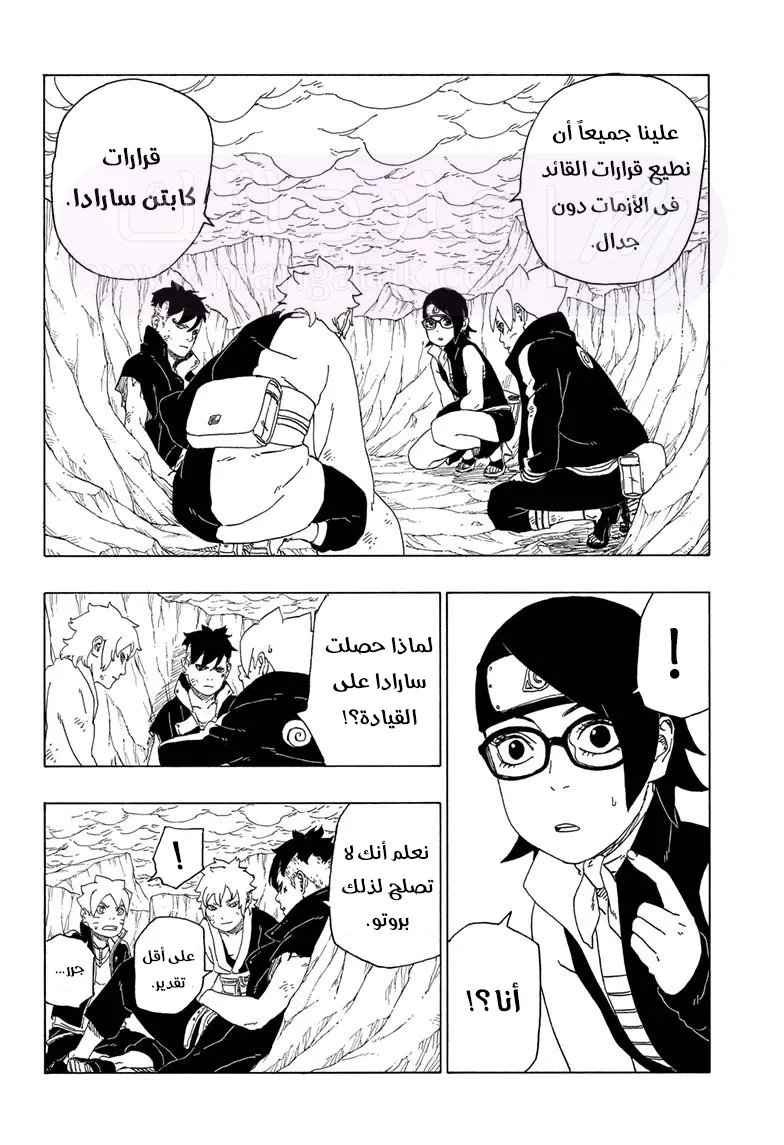 الصفحة 11
