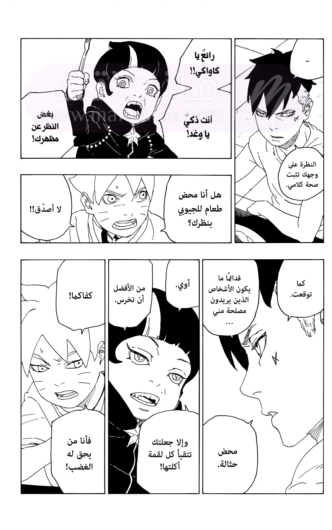 الصفحة 17
