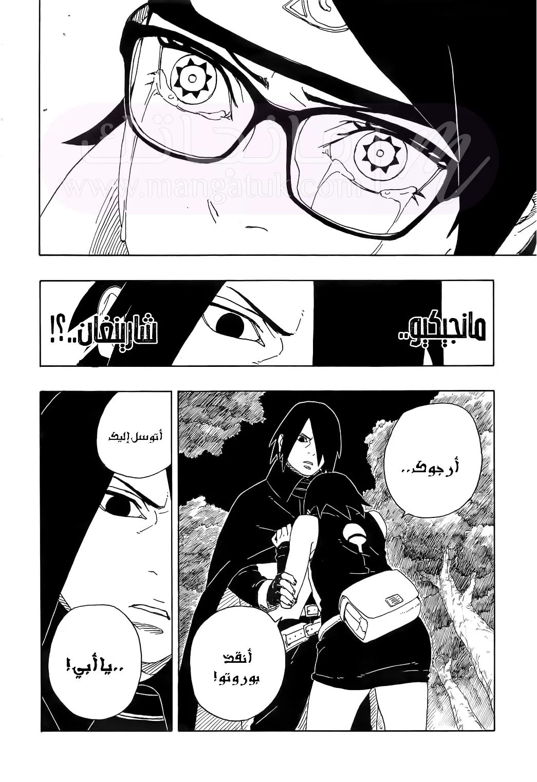 الصفحة 20