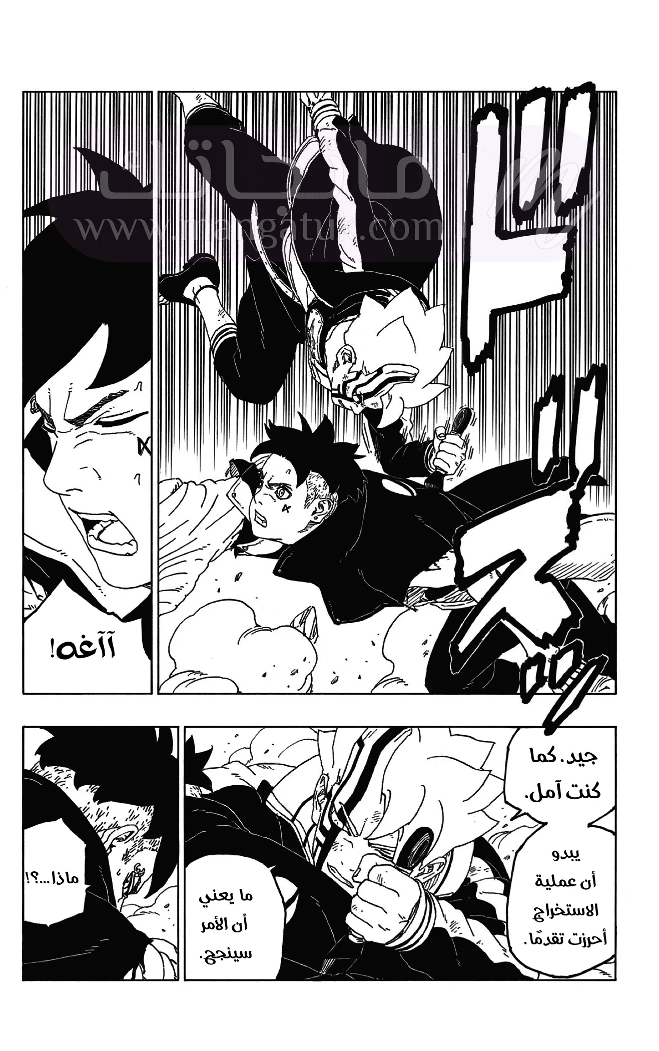 الصفحة 11