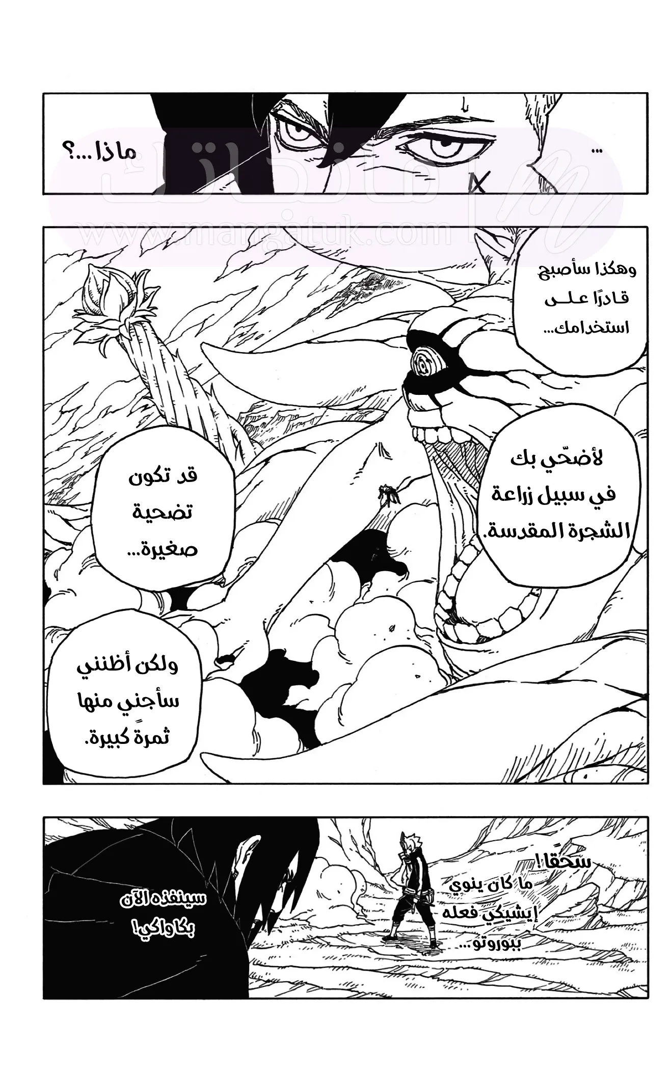 الصفحة 14