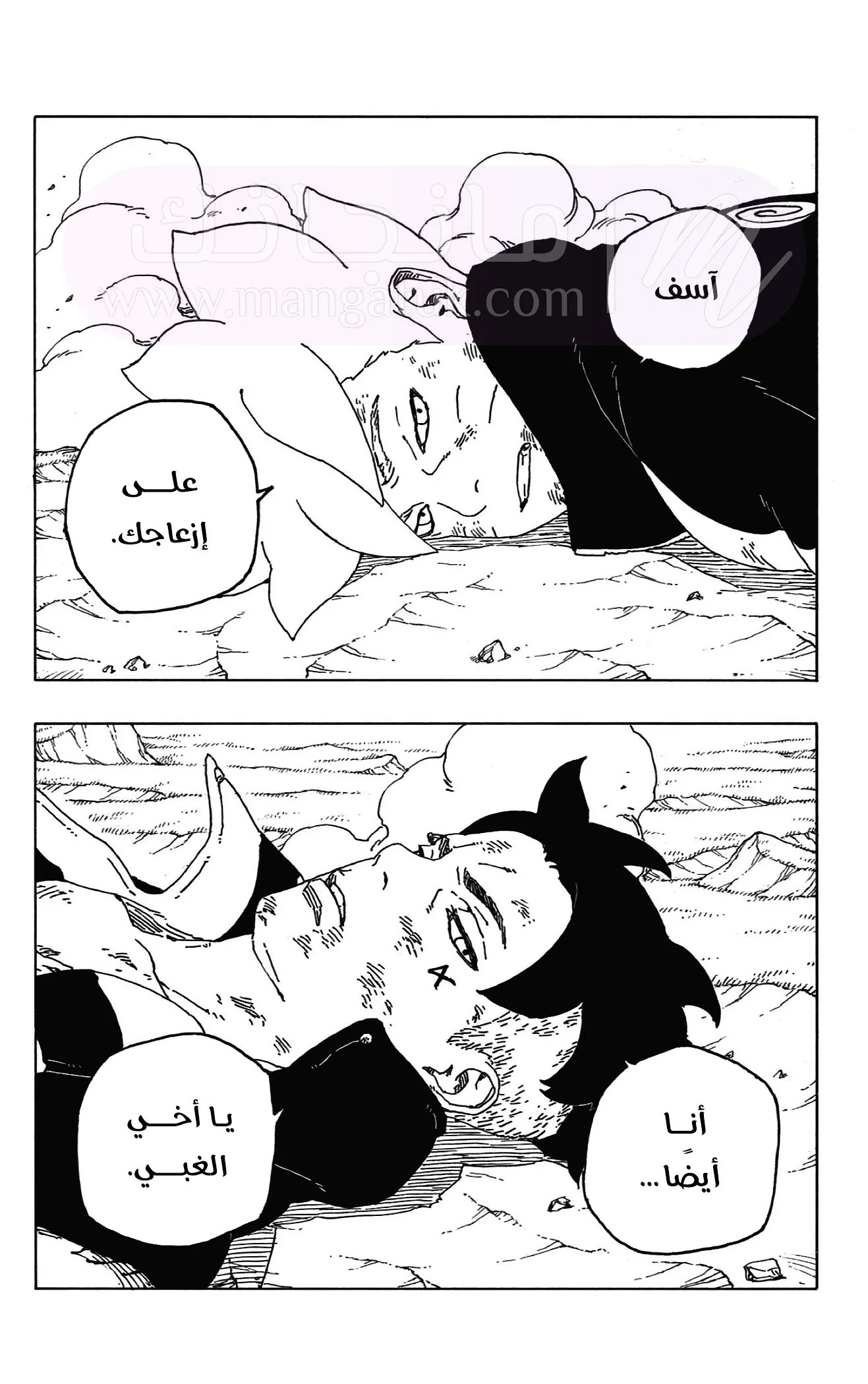 الصفحة 41