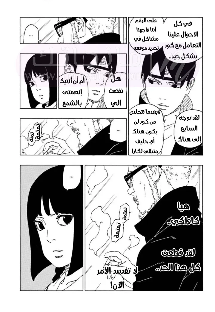 الصفحة 13