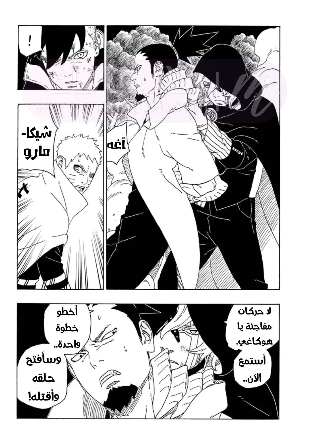 الصفحة 30