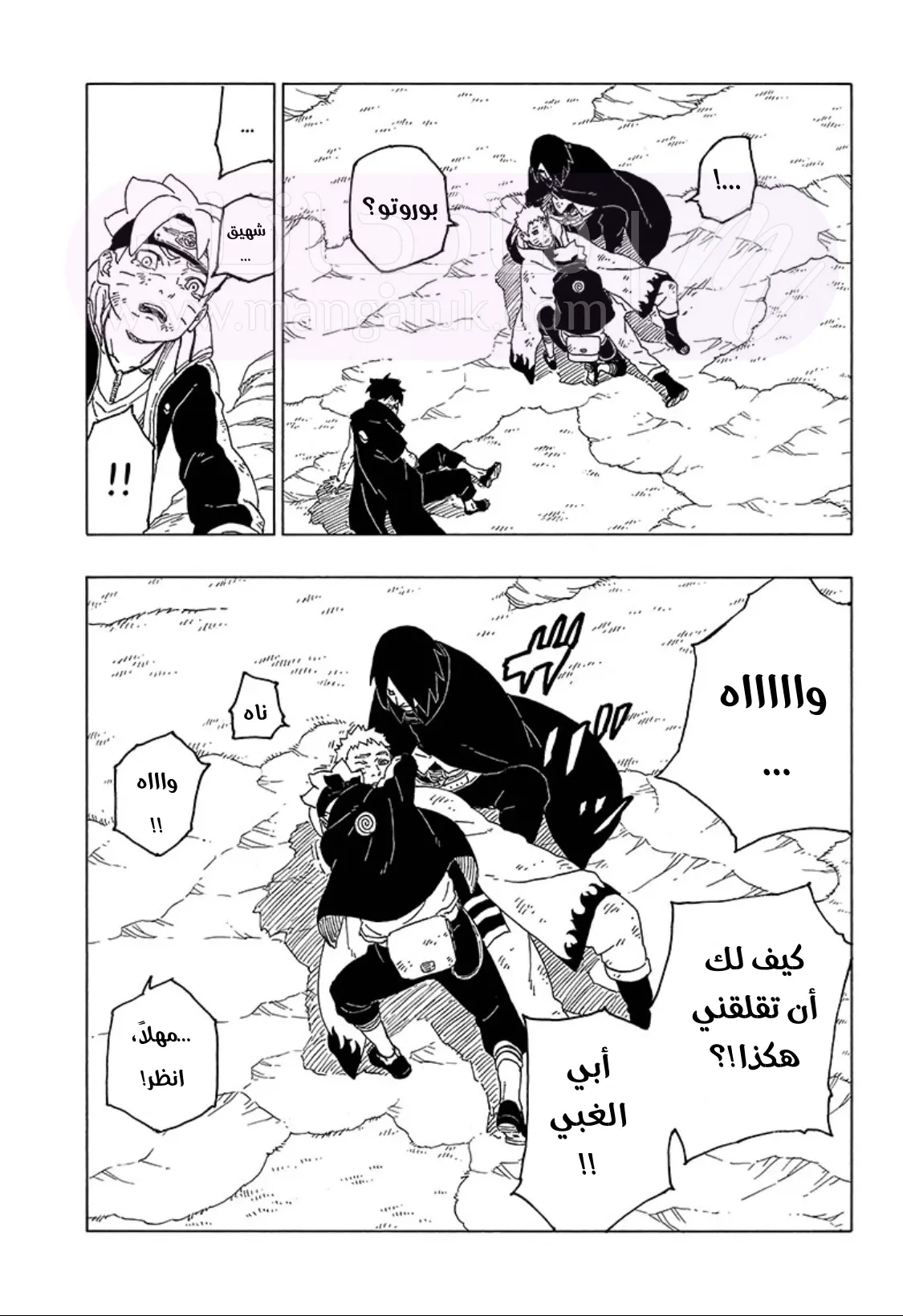الصفحة 12