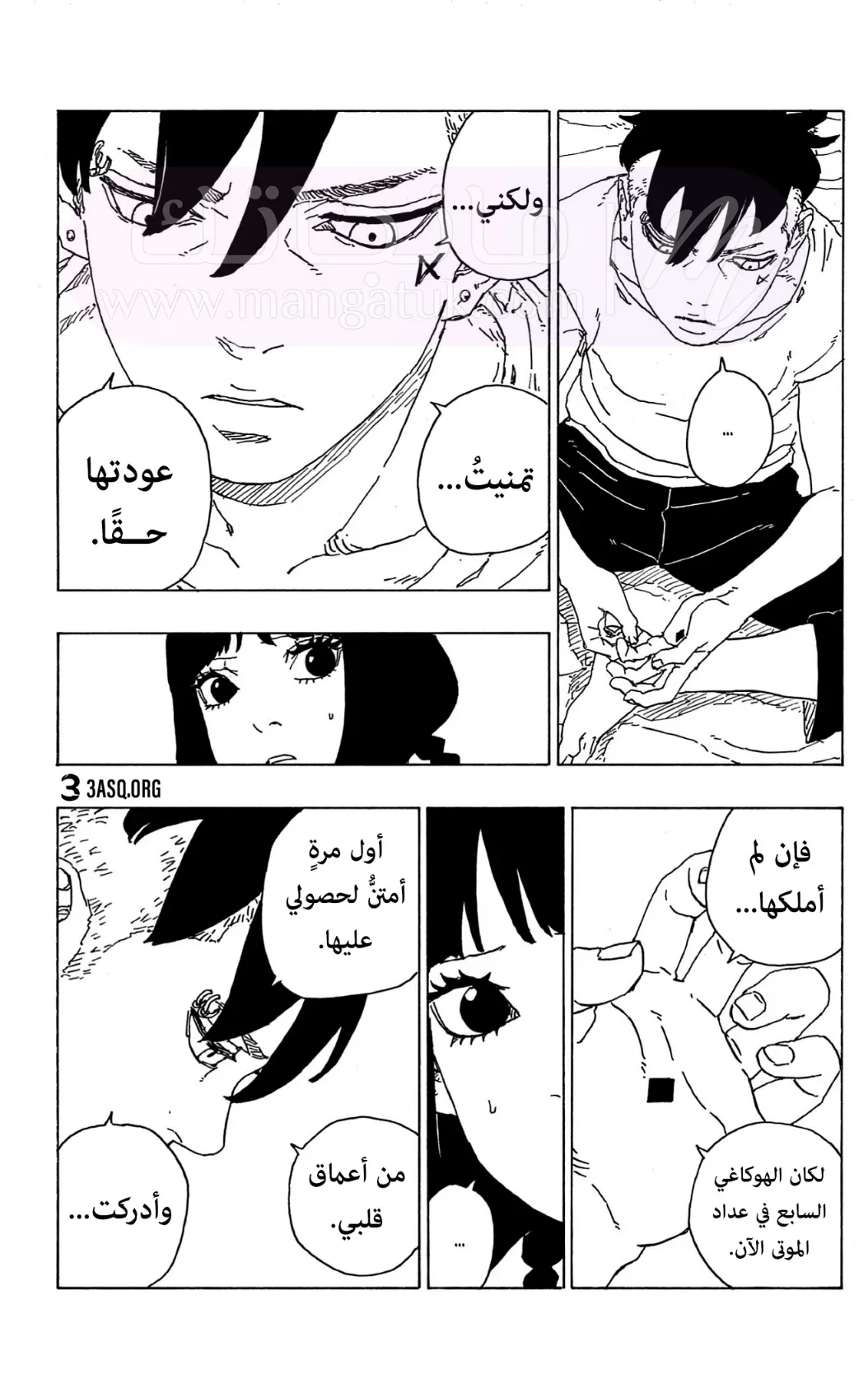 الصفحة 13