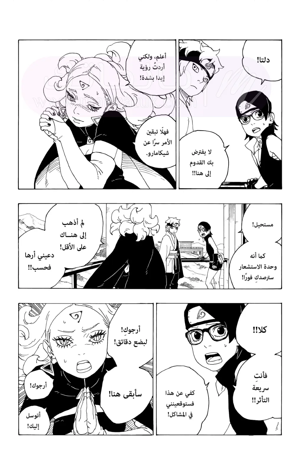 الصفحة 17