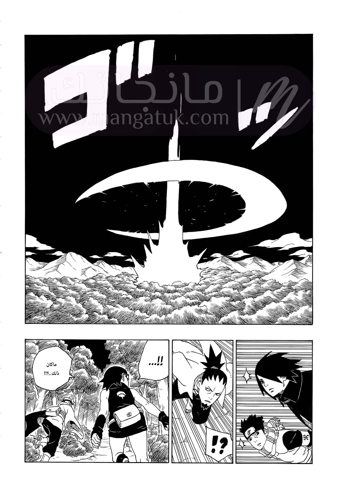 الصفحة 17