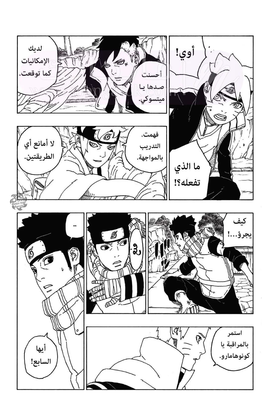 الصفحة 13