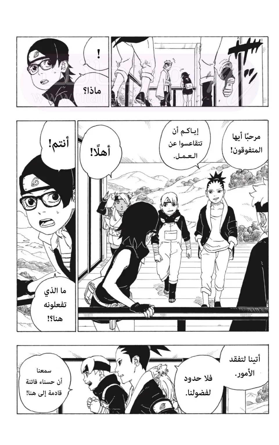 الصفحة 13