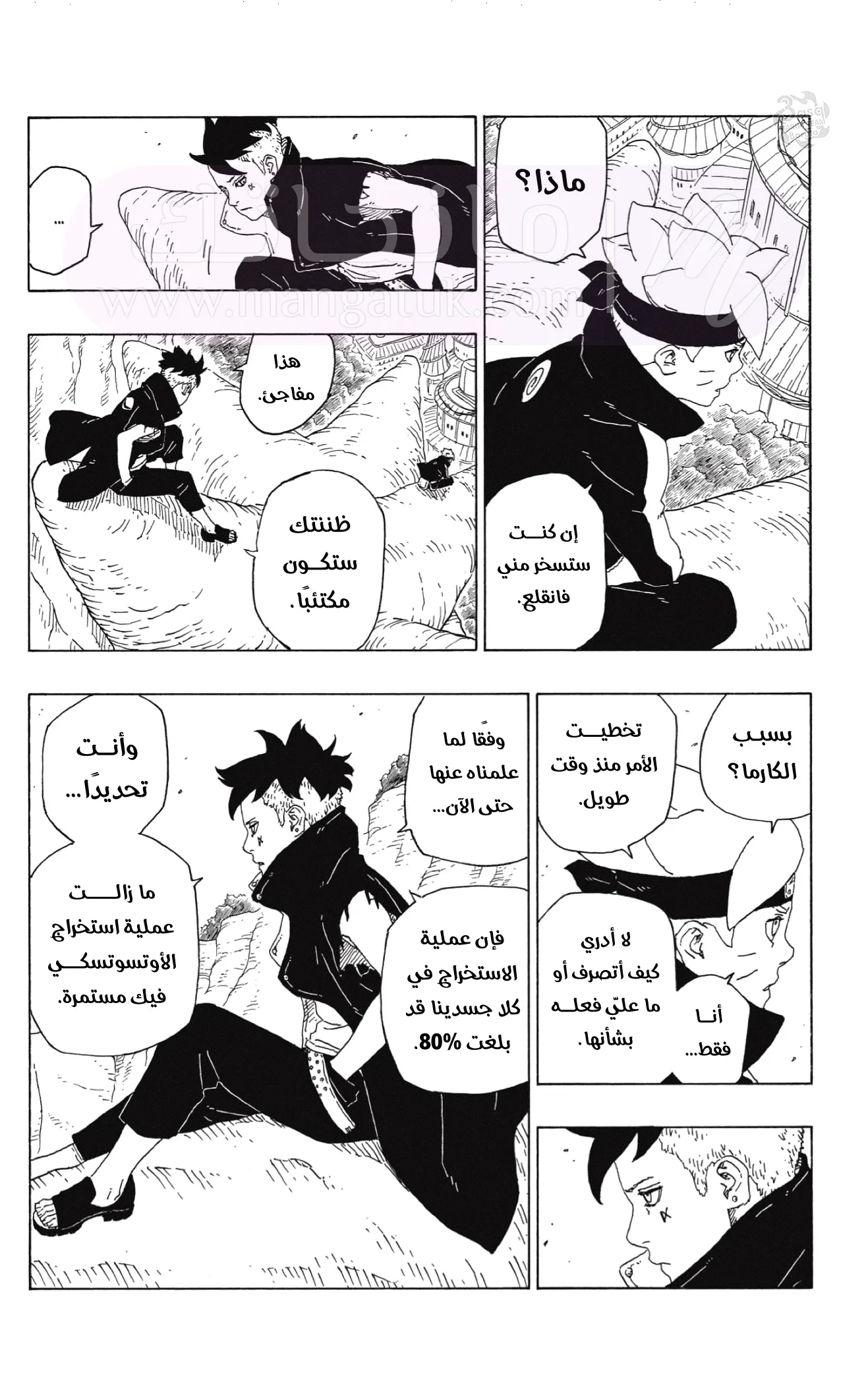 الصفحة 13
