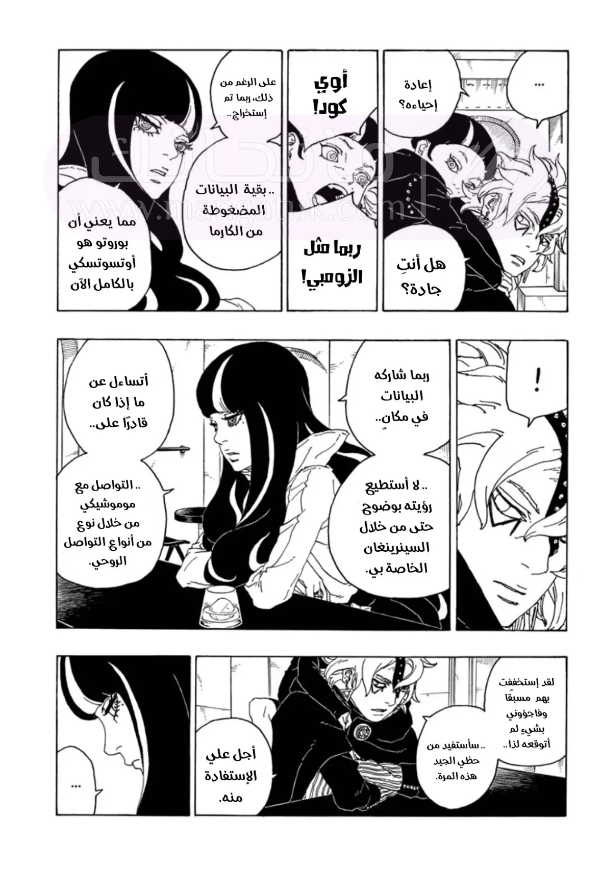 الصفحة 13
