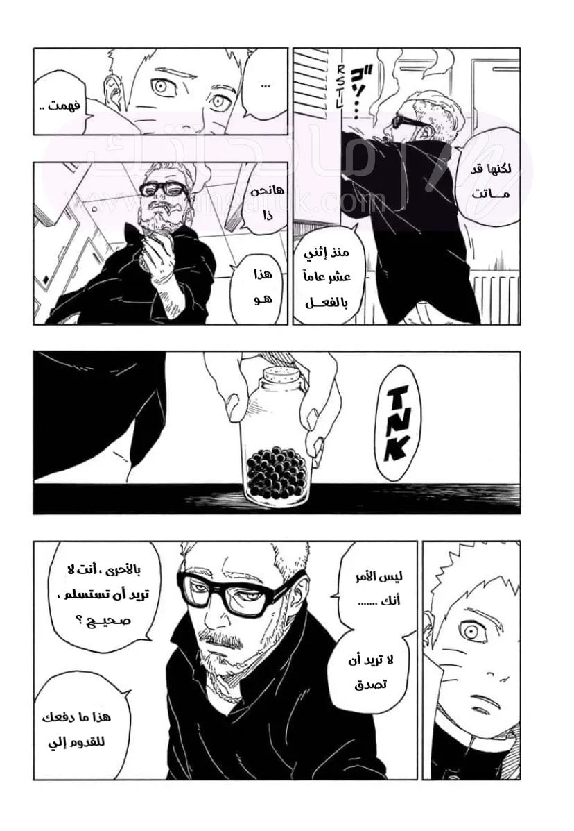 الصفحة 14