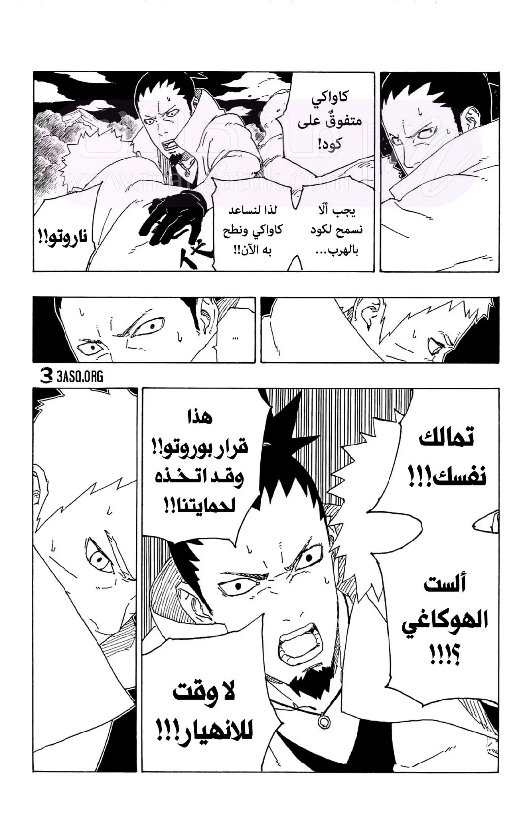 الصفحة 17