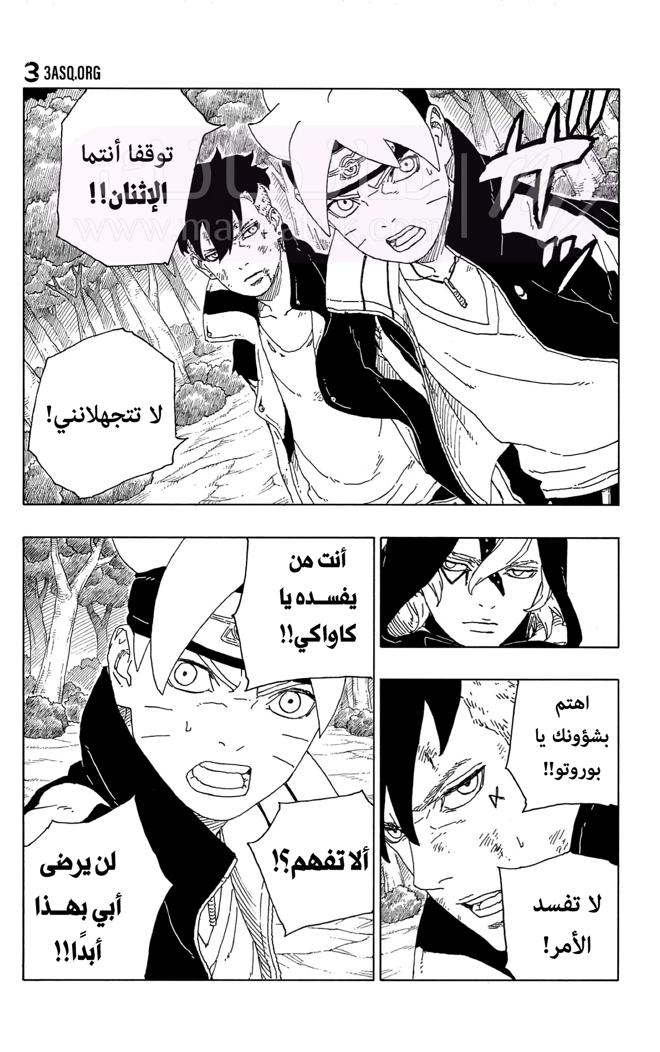 الصفحة 13