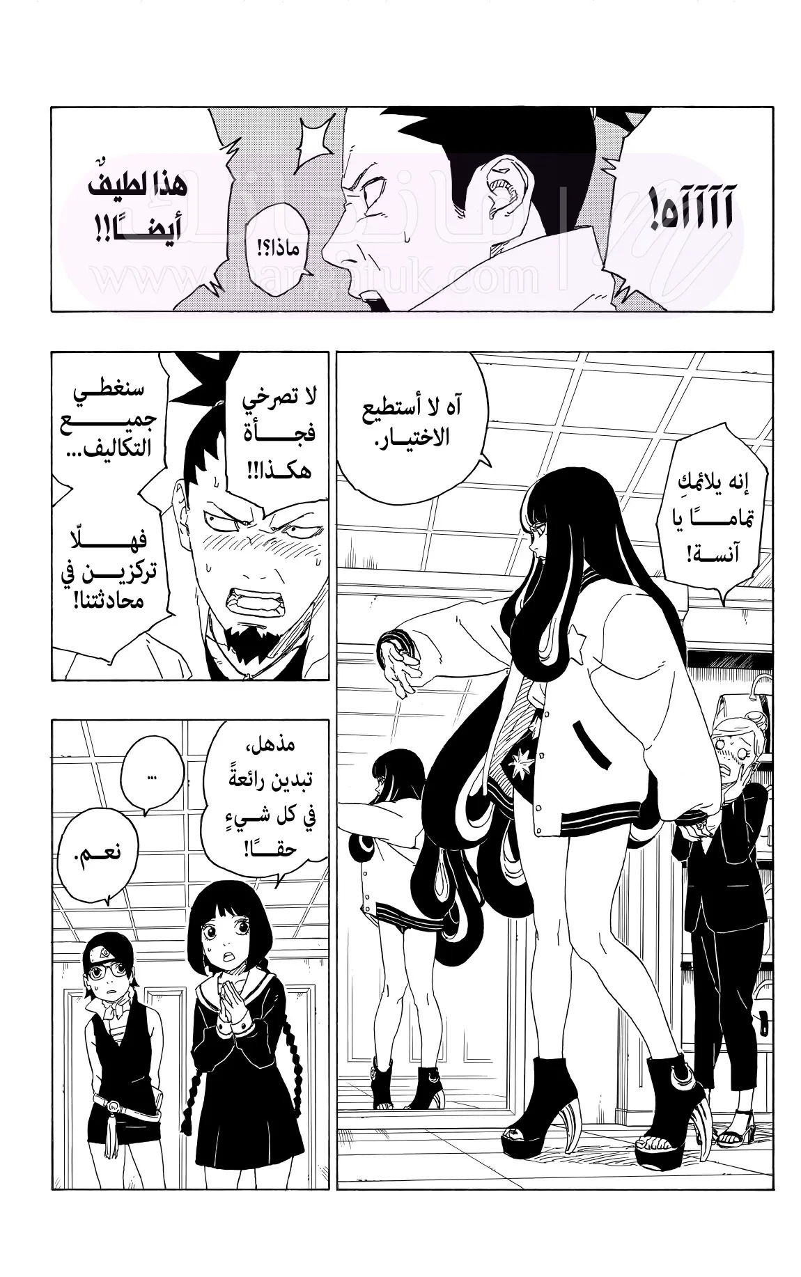 الصفحة 17