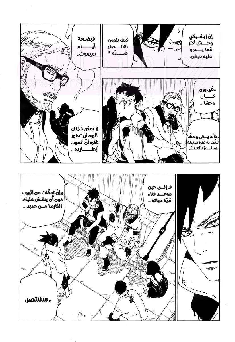 الصفحة 17