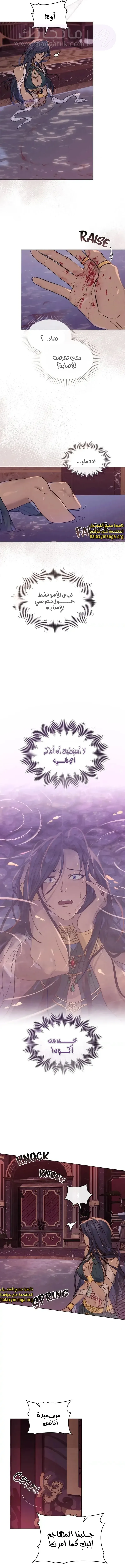 الصفحة 7