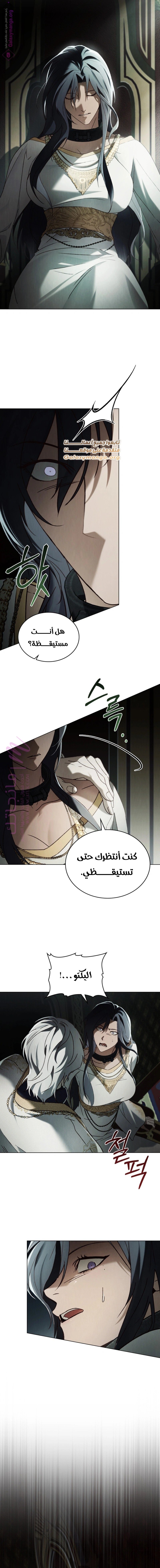 الصفحة 12