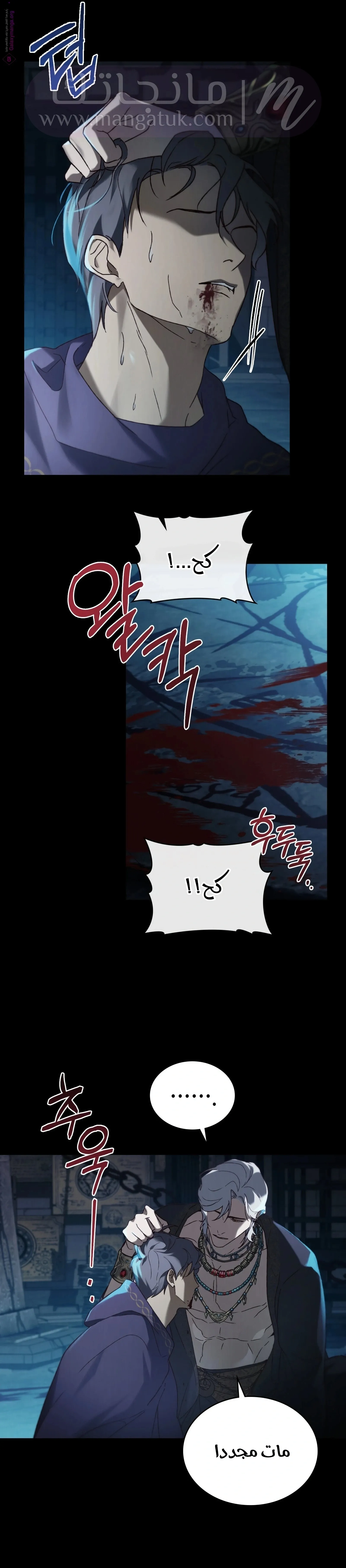 الصفحة 13