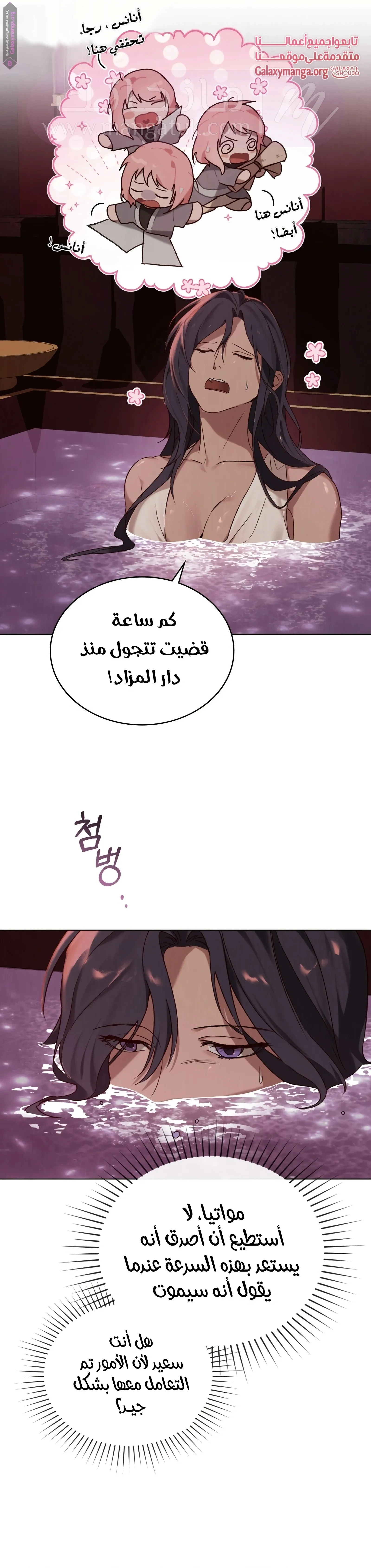 الصفحة 17