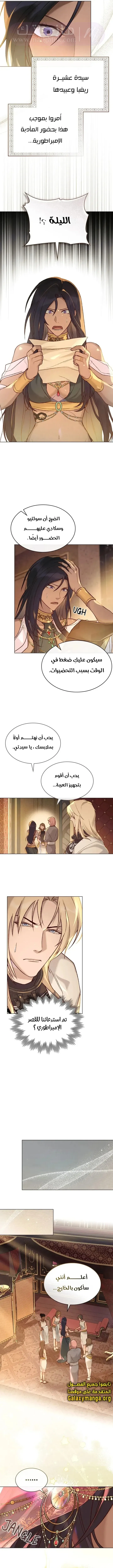 الصفحة 5