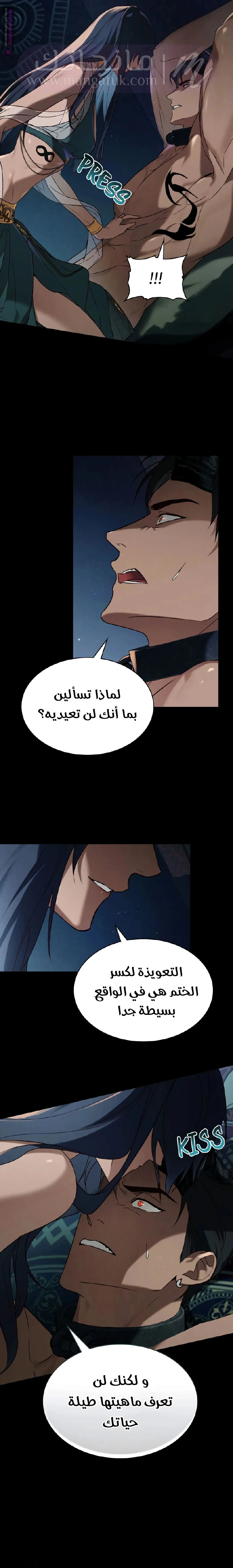 الصفحة 17