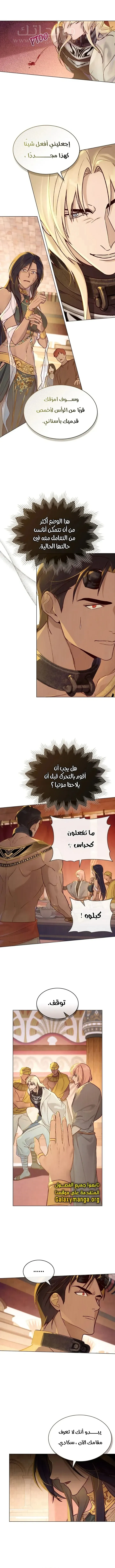 الصفحة 7