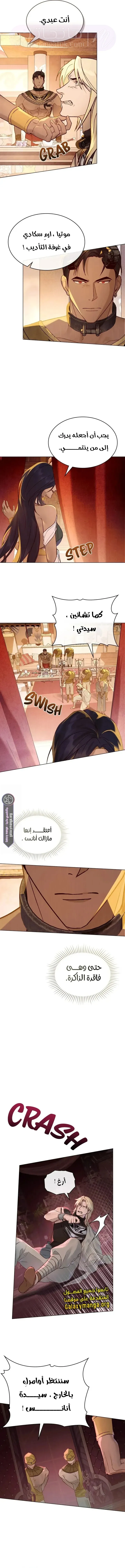 الصفحة 8