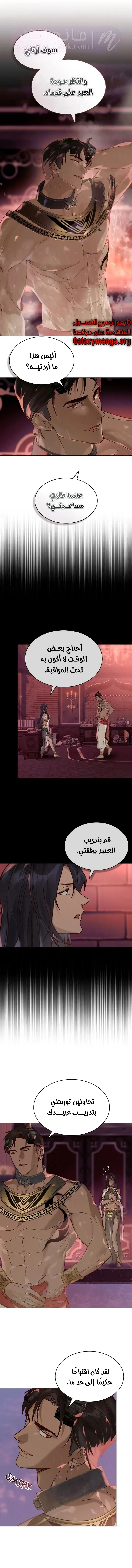 الصفحة 3