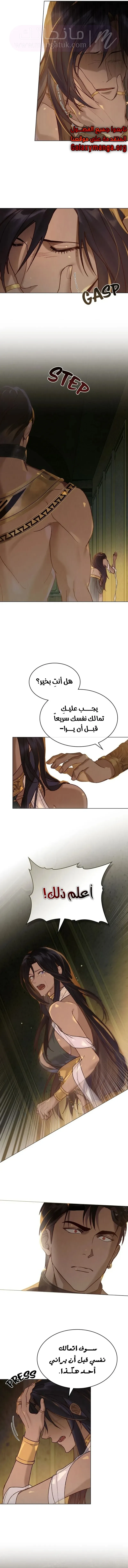 الصفحة 7