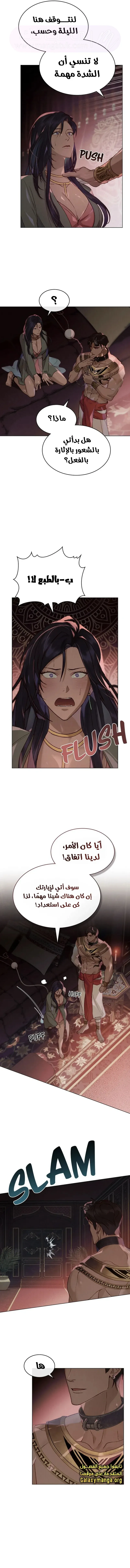 الصفحة 3