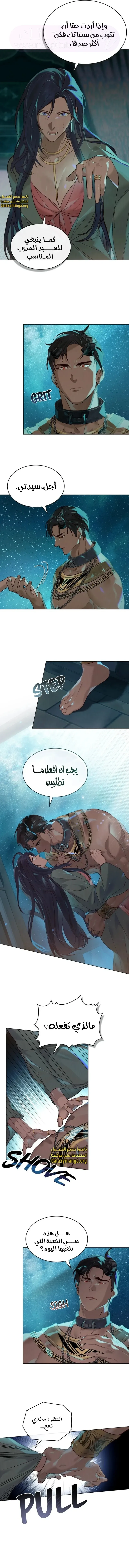 الصفحة 7