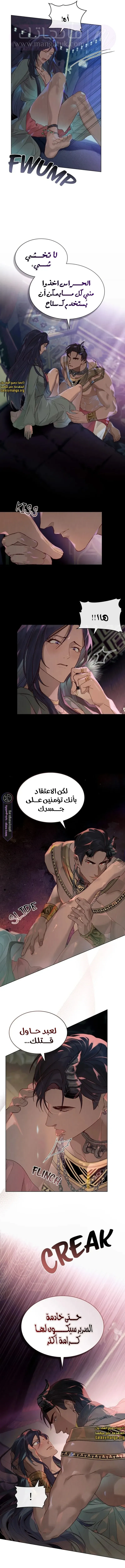 الصفحة 8