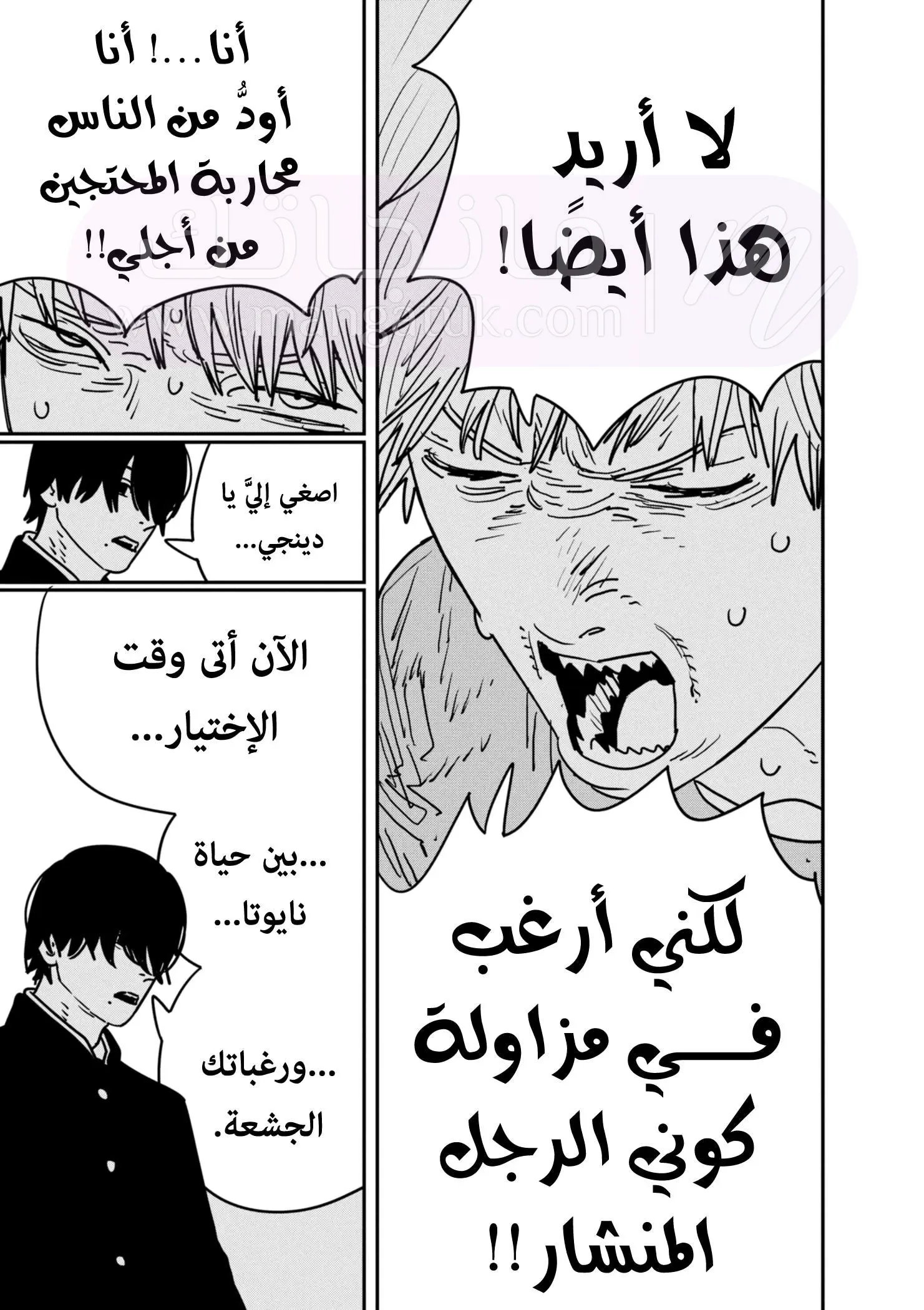 الصفحة 12