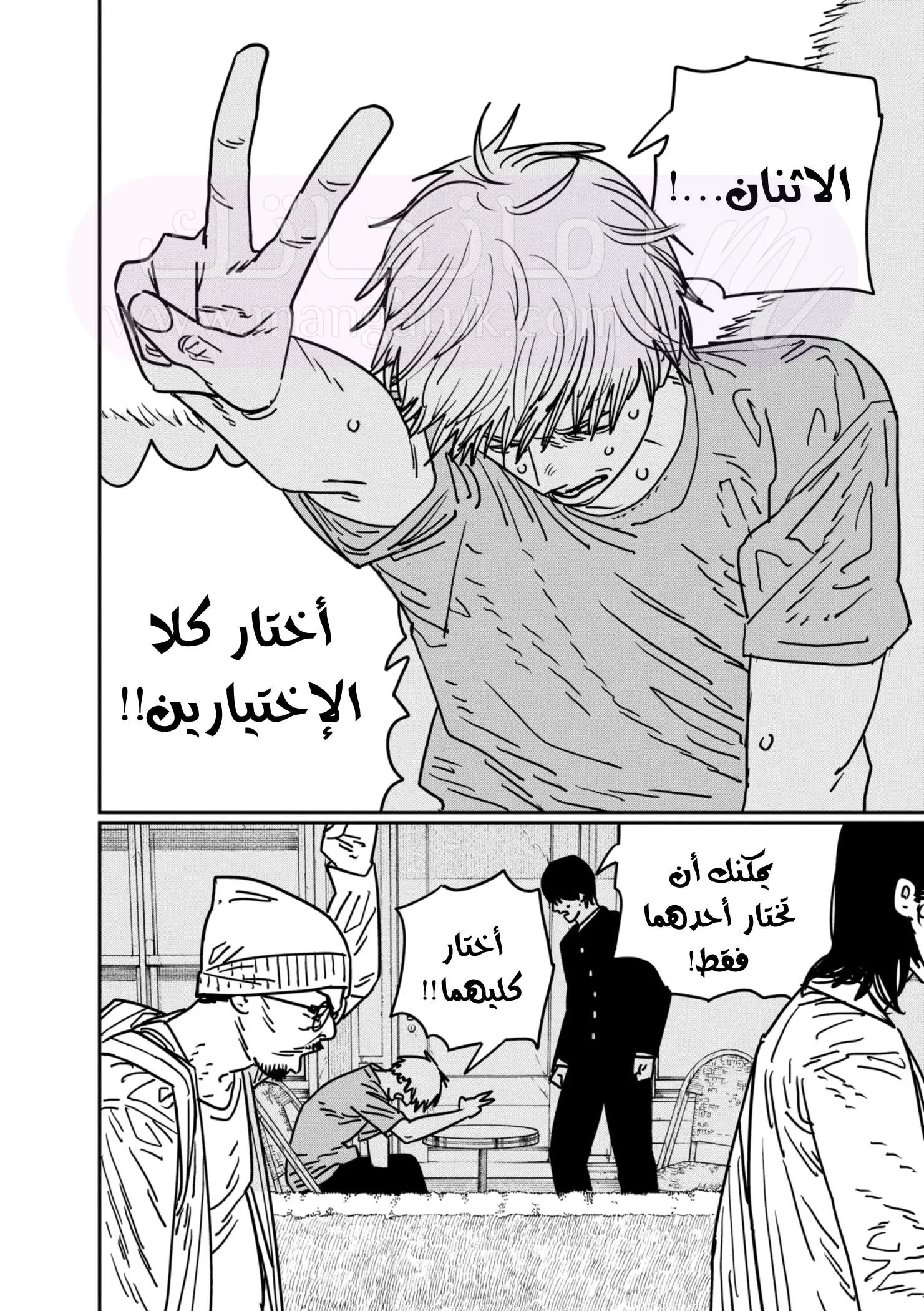 الصفحة 13