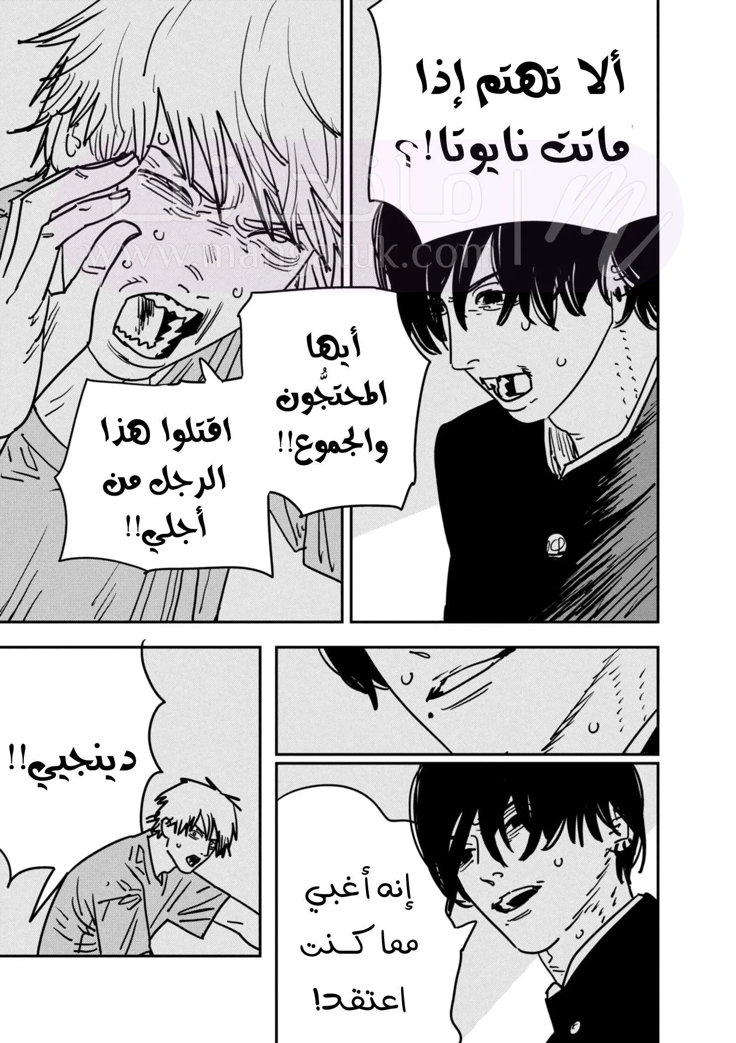 الصفحة 14