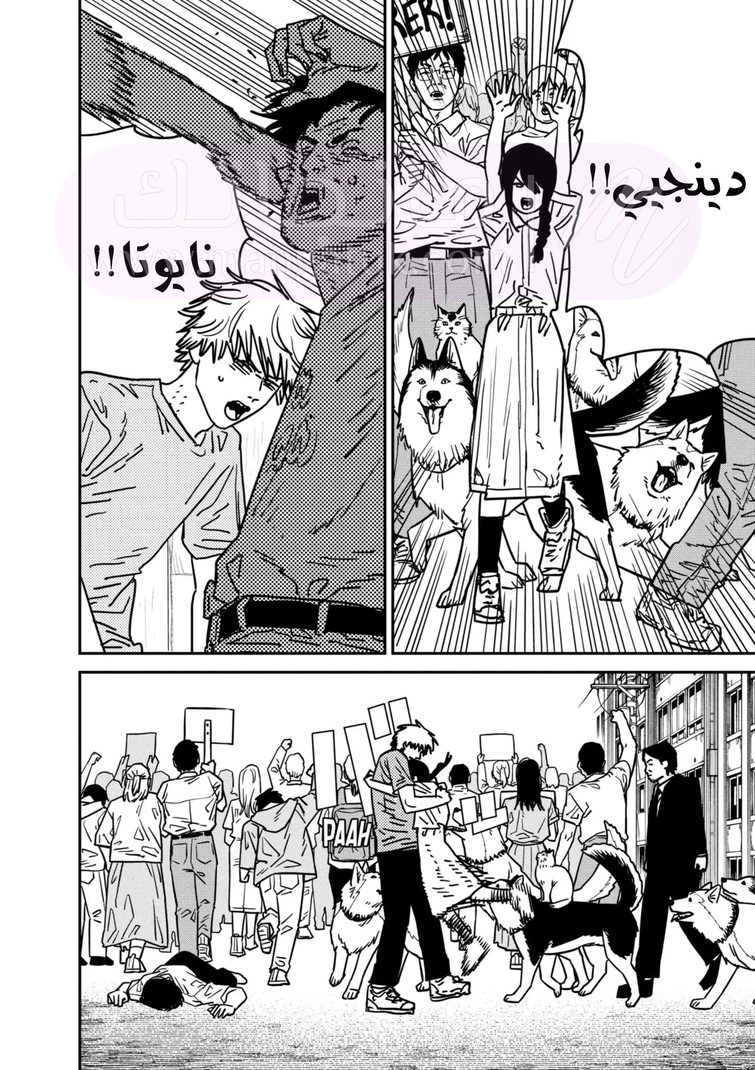 الصفحة 15