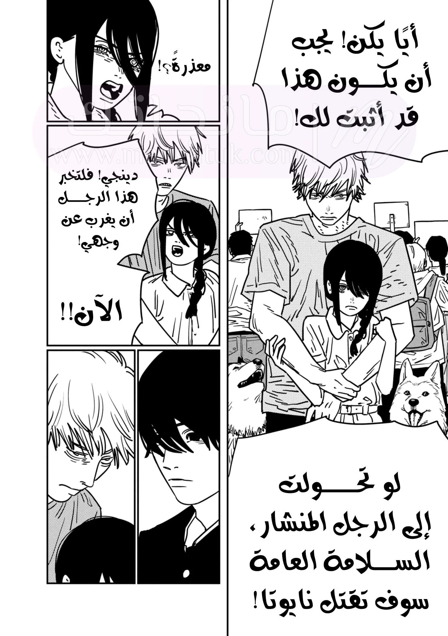 الصفحة 17