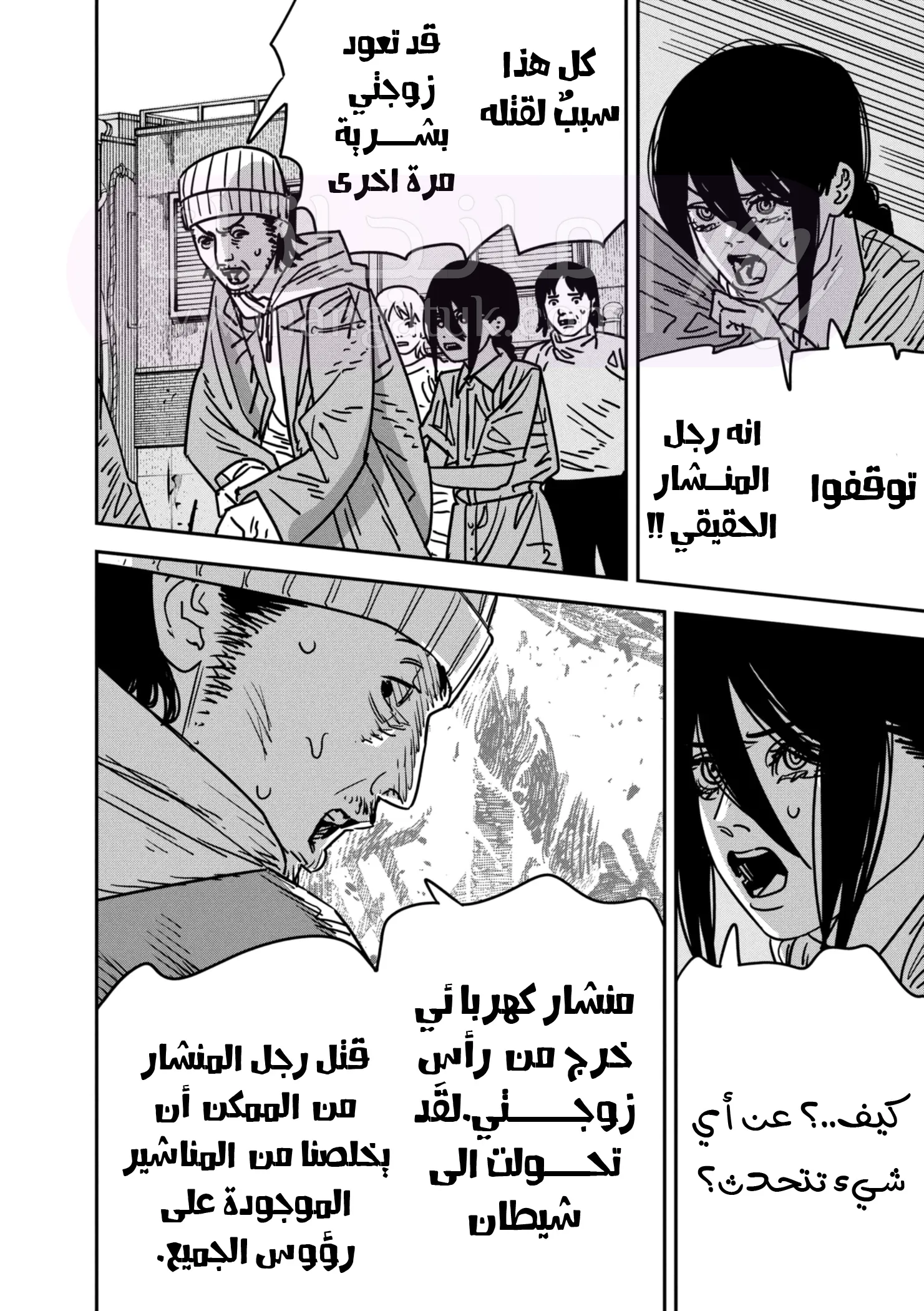 الصفحة 11