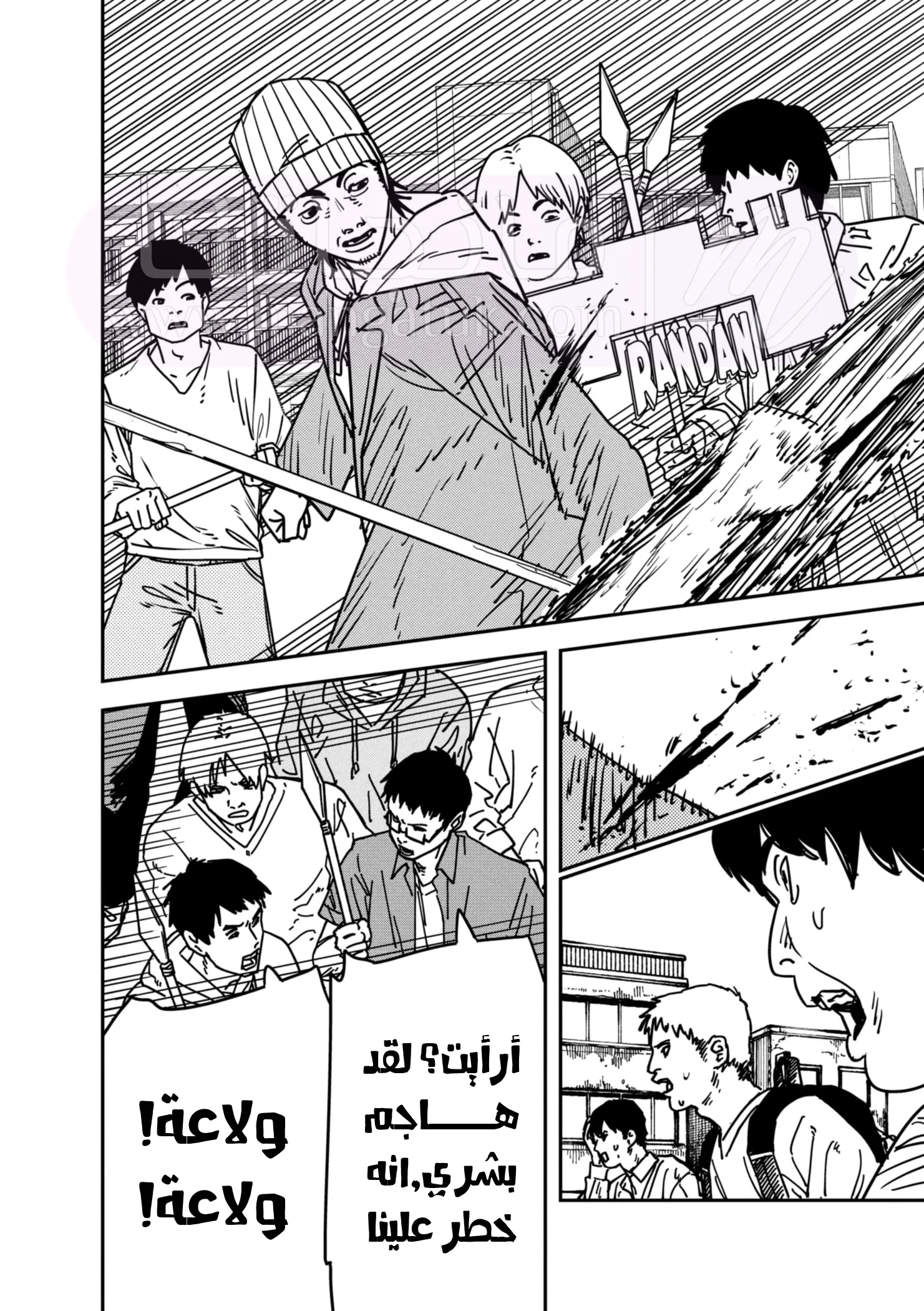 الصفحة 13
