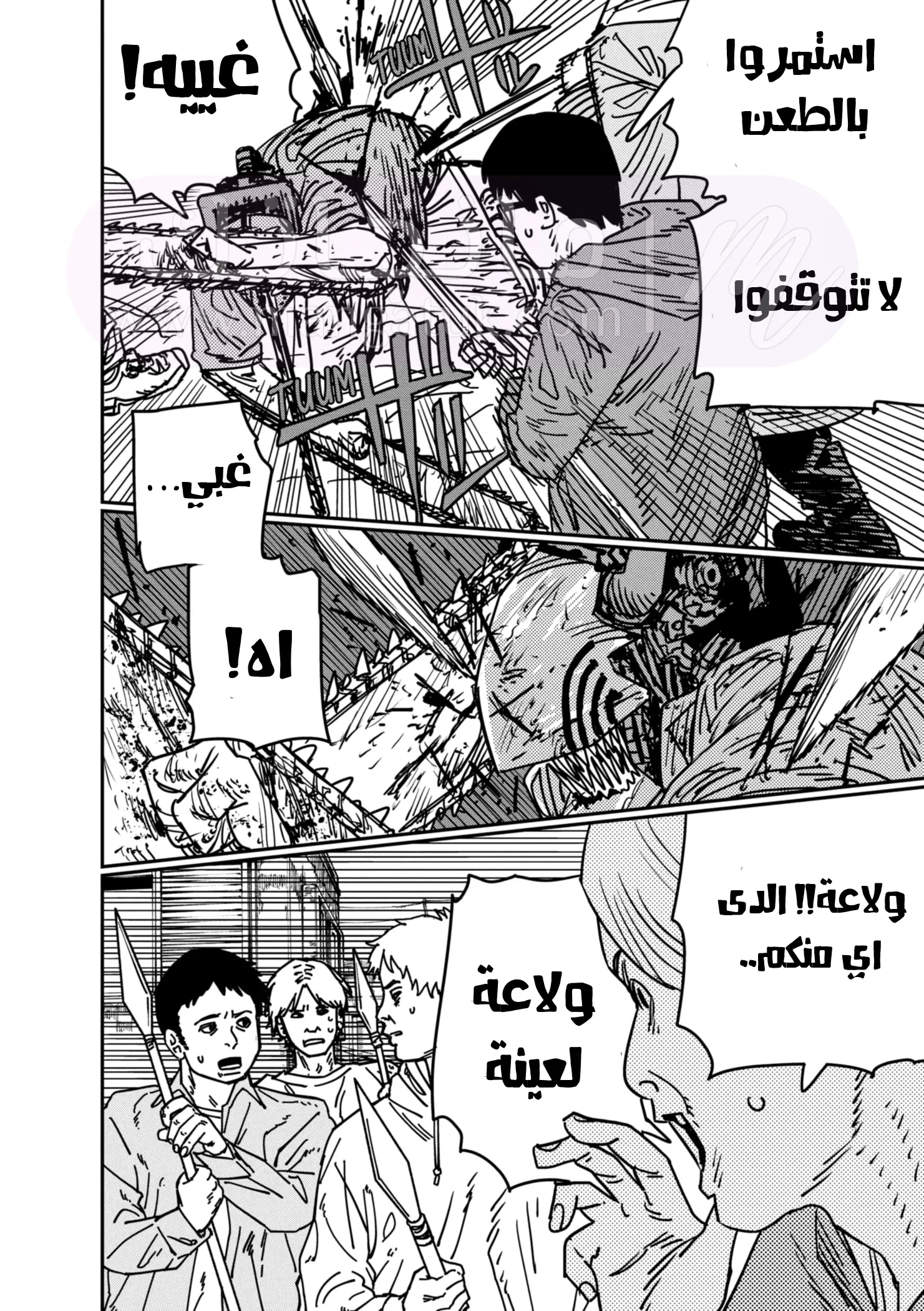 الصفحة 15